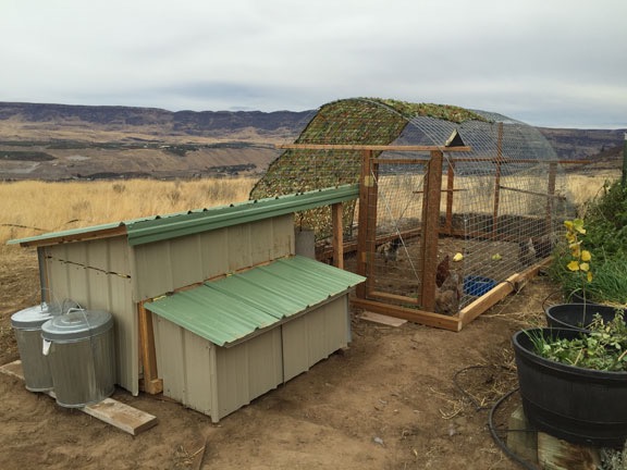 Finished Coop