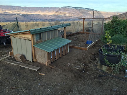 Coop in Place