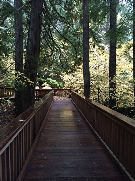 Boardwalk Trail