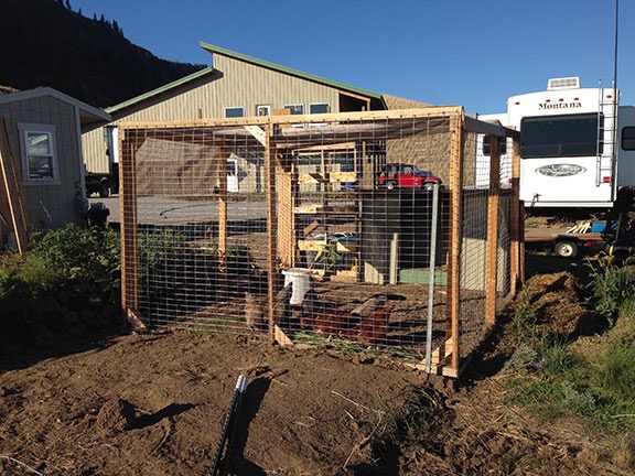 Chicken Yard 2