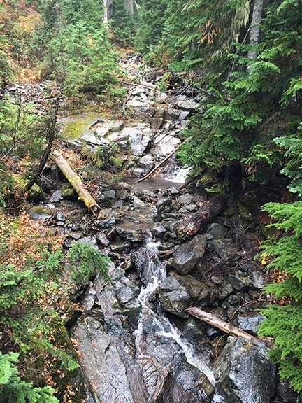 Creek Near Rainy Lake