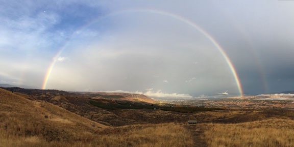 Rainbow
