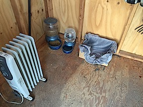 Cat Home