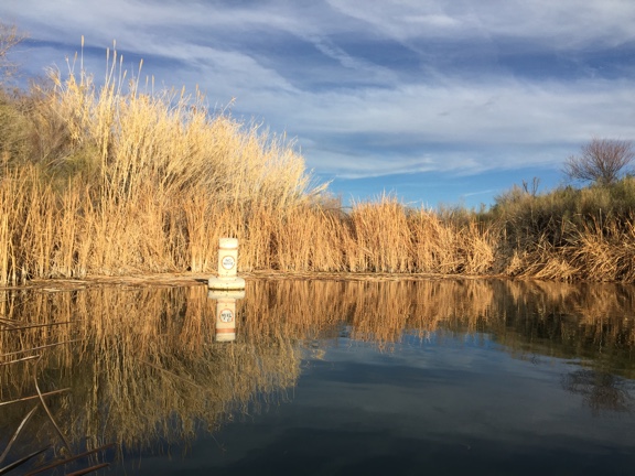 No Wake