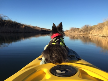 Penny on a Kayak