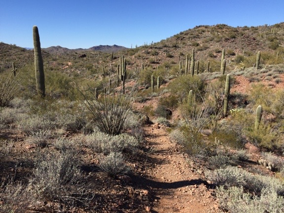 Vulture Peak Trail