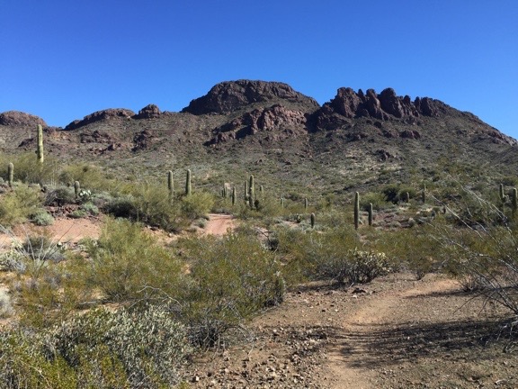 Vulture Peak