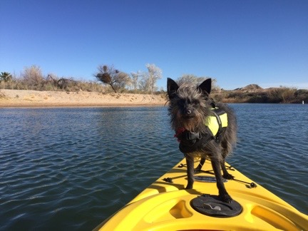 Penny on a Kayak