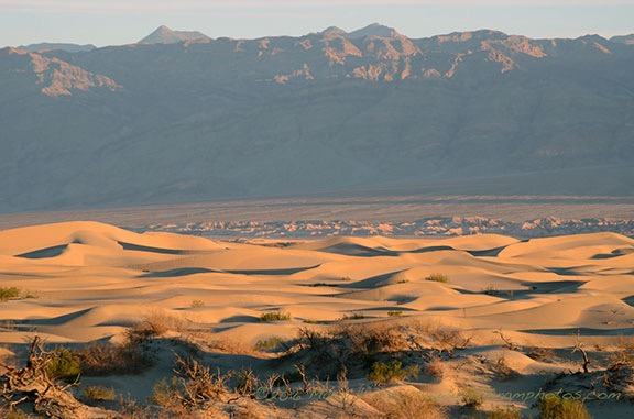 Death Valley Dunes