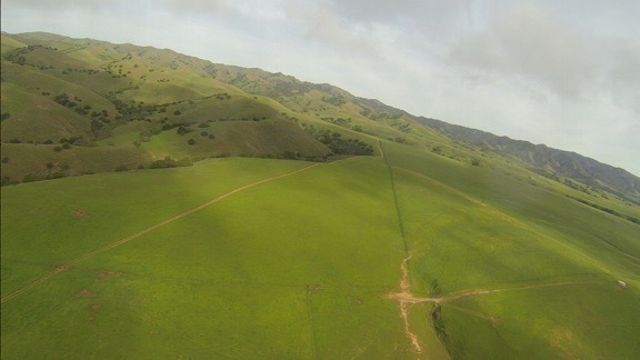 Out of the Marine Layer