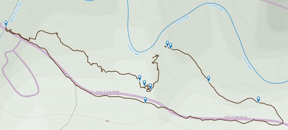 Camp Trail