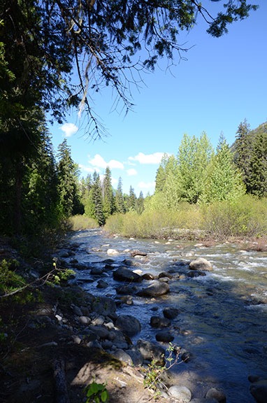 Up Icicle Creek