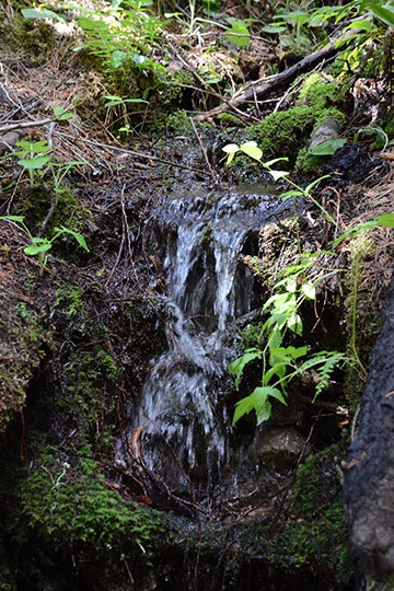 Little Waterfall