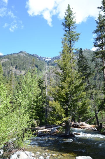 Mountains and Creek
