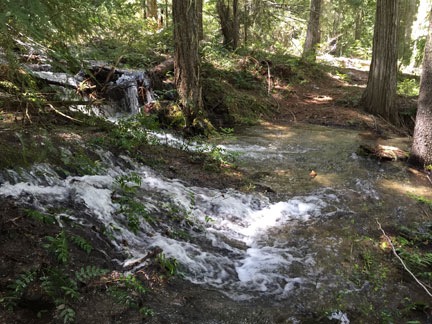 Stream