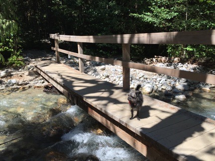 Bridge over Colonial Creek