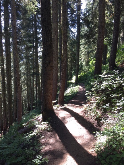 Maple Pass Trail