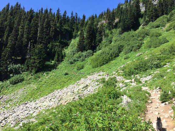 Open Trail