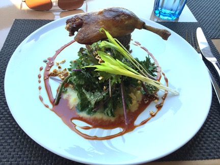 Duck for Lunch