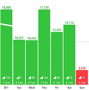 Pedometer