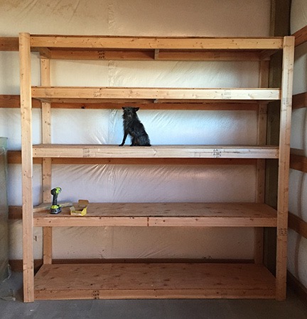 Big Shelves