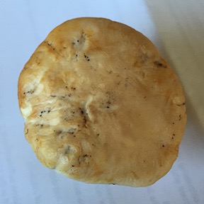 top of mushroom