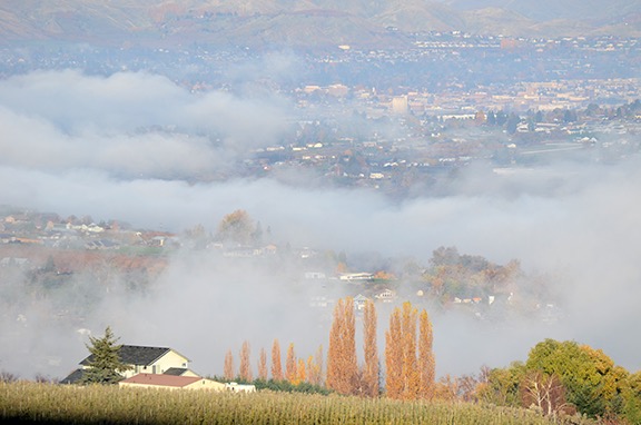 Foggy Home