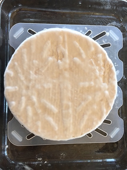 Mold on Brie