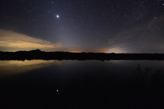Venus Reflected