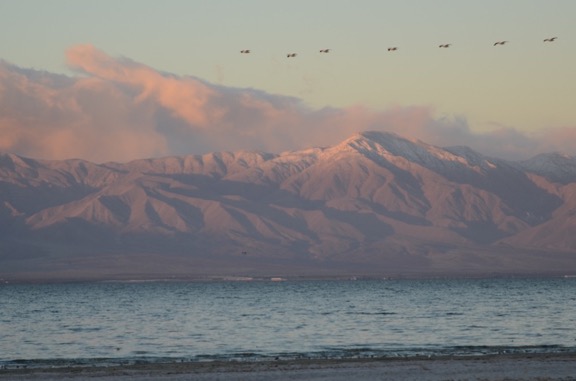Salton Sea Sunrise