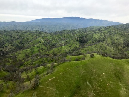 Green Foothills