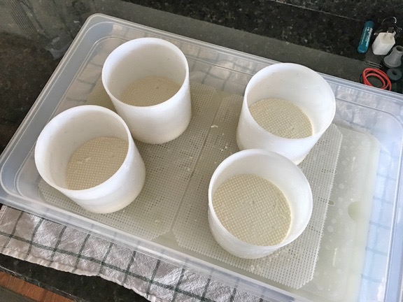 Goat Milk Brie, draining
