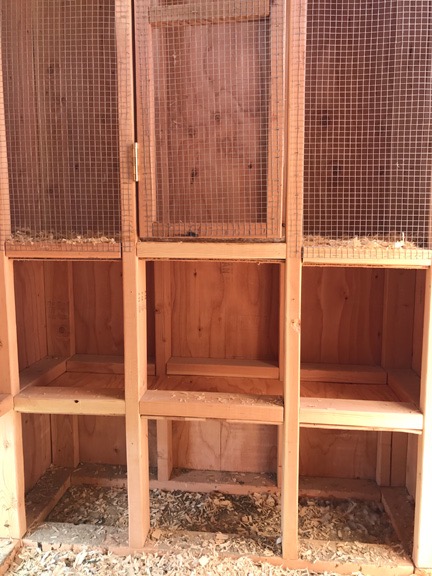 Coop Nest and Brooding