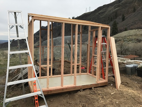 Framed Chicken Coop
