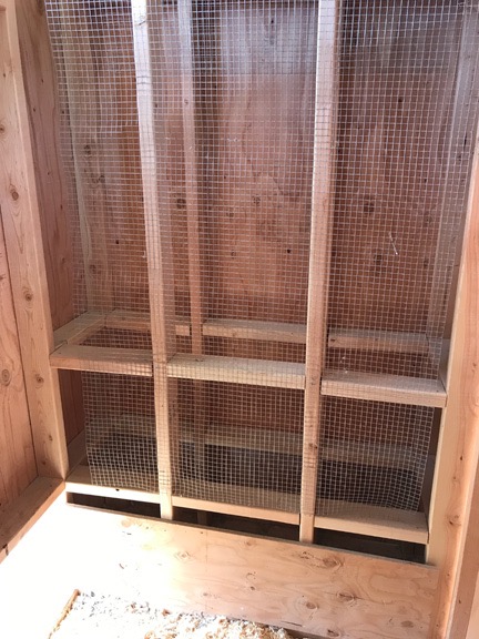 Coop Nest Area