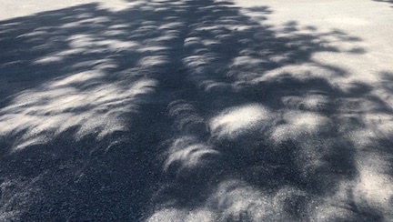 Crescent Shadows