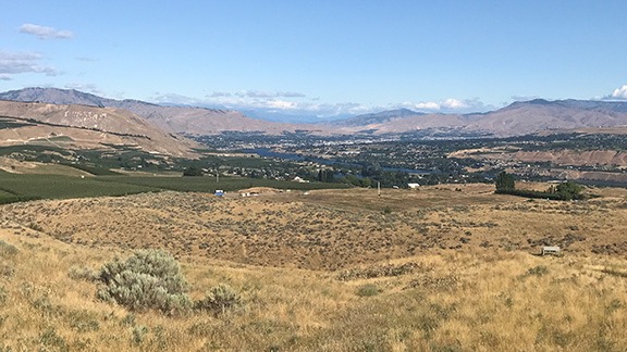 Normal View