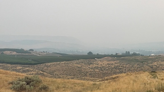 Smokey View