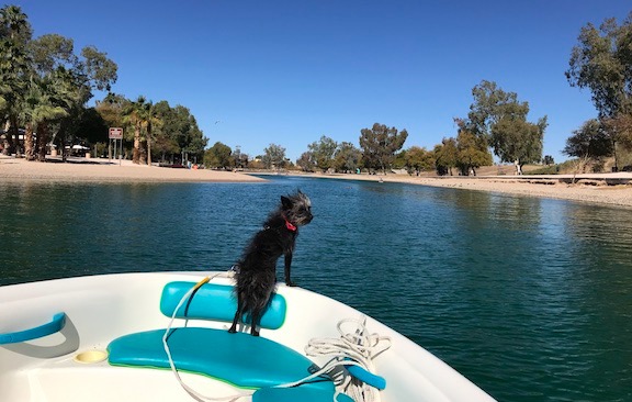 Penny at the Bow