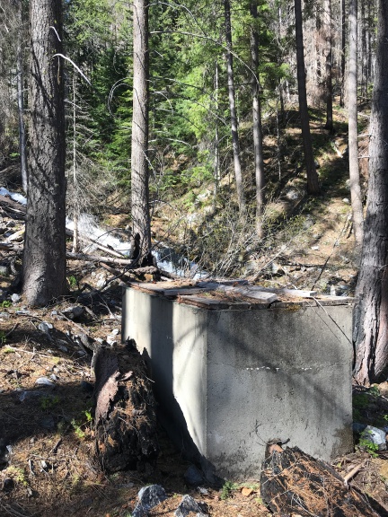 Streamside Tank