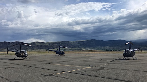 Three Blue R44s