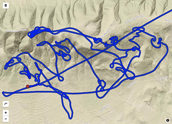 Horse Herding Track