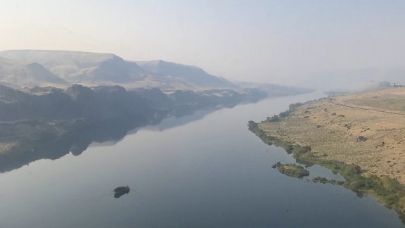 Columbia River Reflections