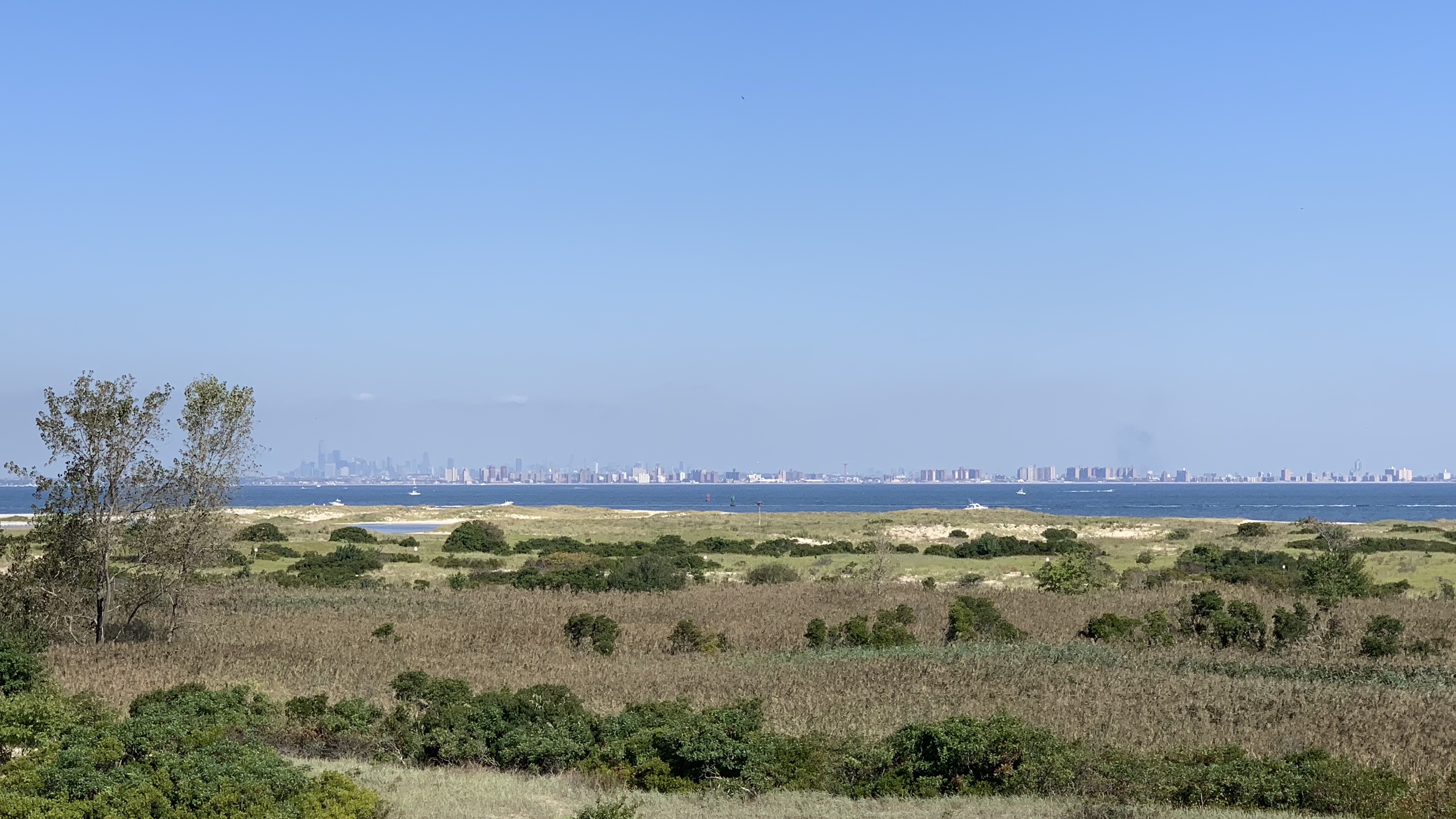 View of Manhattan.