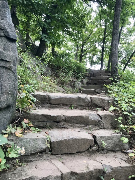 Palisades Steps