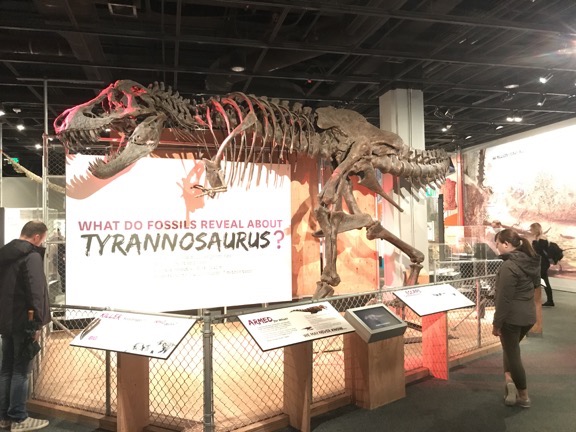 Tyrannosaurus