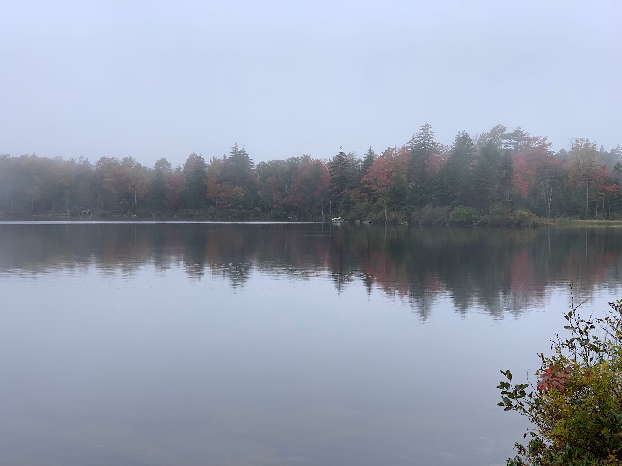 Wallingford Pond.