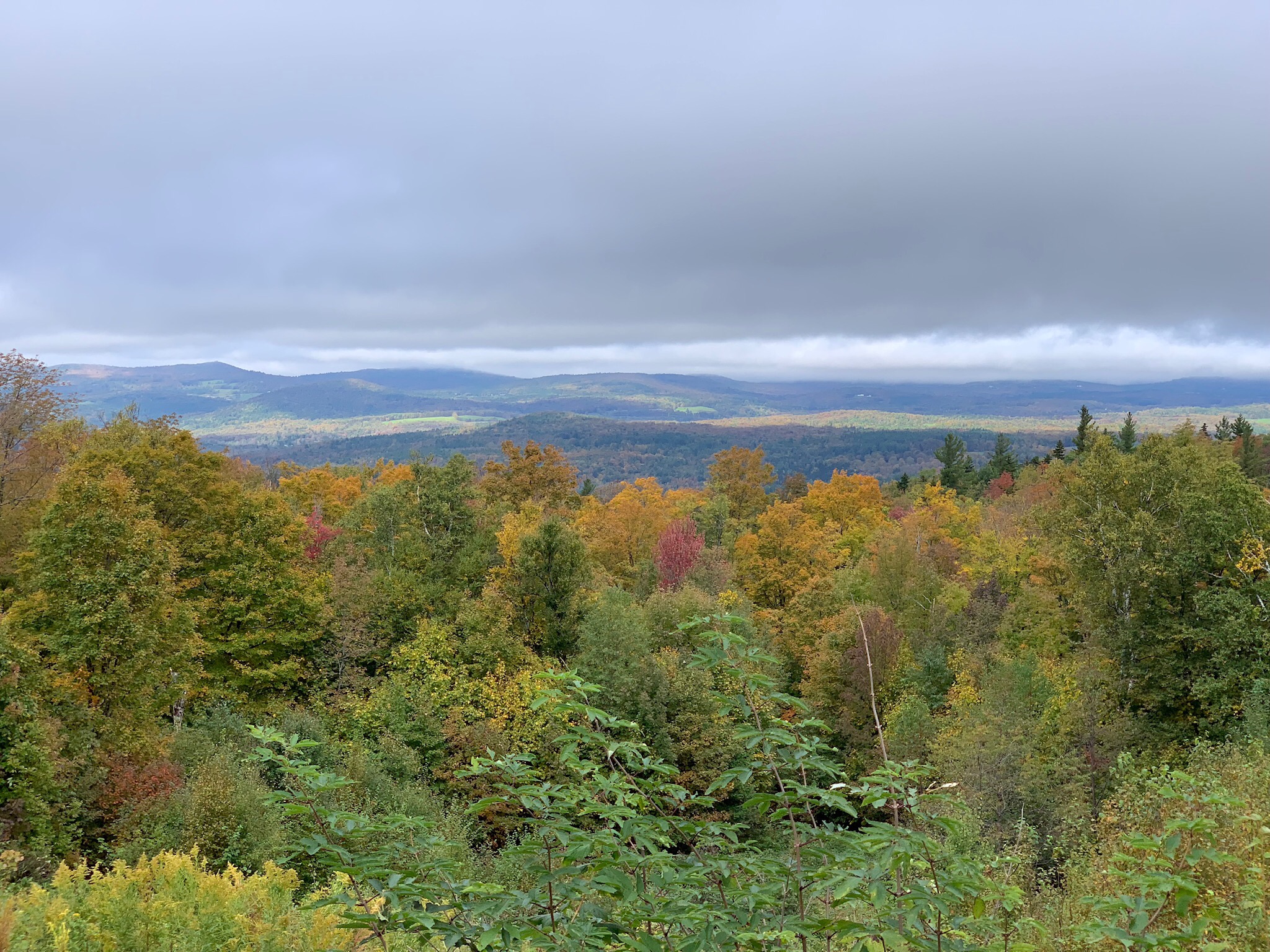 View from the cabin.