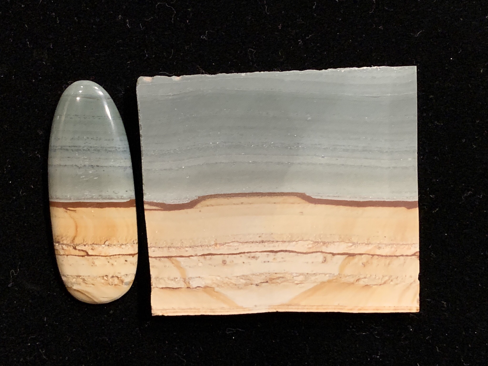 Wild Horse Picture Jasper