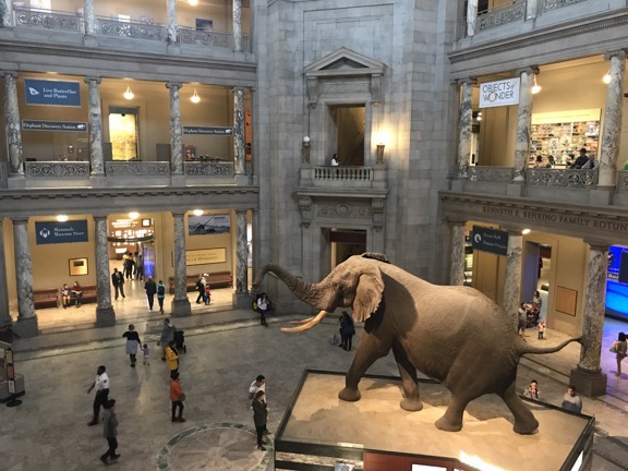 Main Hall of Natural History Museum